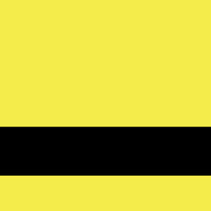 Fluro Yellow/Black