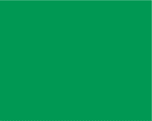 Lasermark Reverse Matte Clear/Bright Green