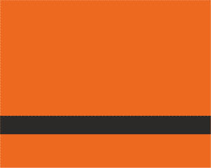 Safe-T-Mark Vibrant Orange/Black